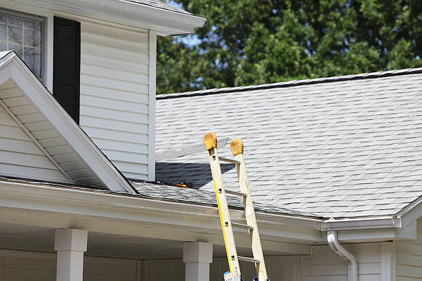 Best Hoarding Cleanup  in Valley Center, CA